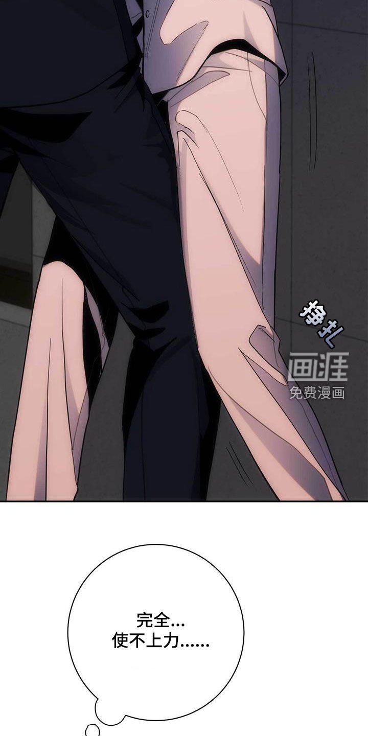 第44章：单独演奏