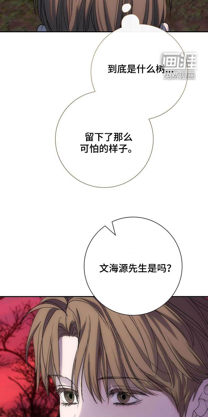 第45章：我来晚了
