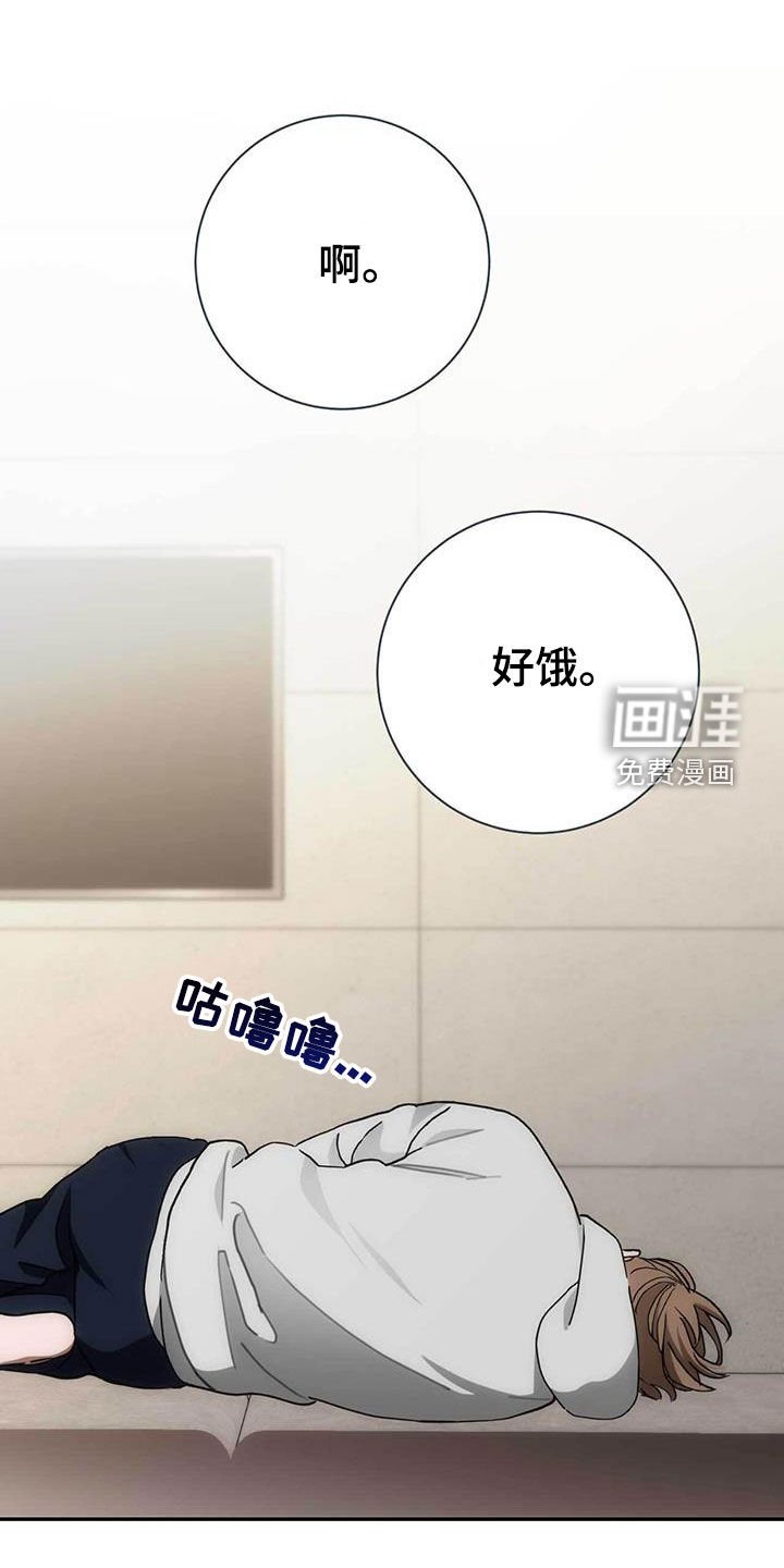 第48章：你原谅我了吗