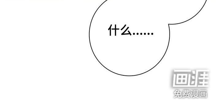 第48章：你原谅我了吗