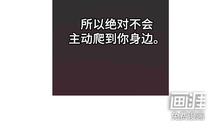 第49章：你错了
