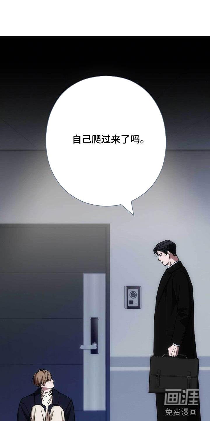 第51章：谈恋爱吗