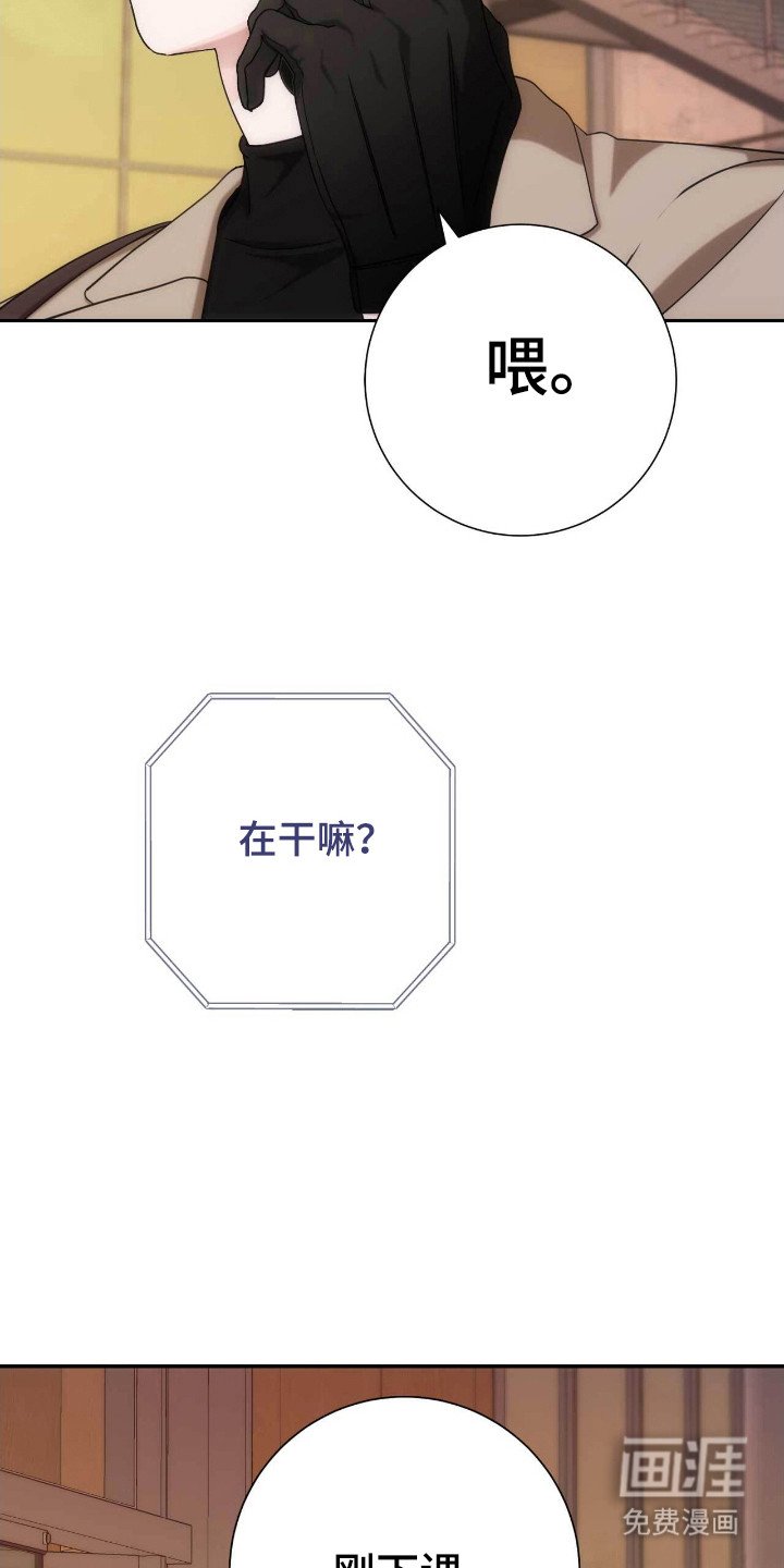 第63章：其他理由