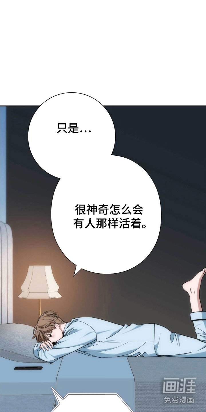 第63章：其他理由
