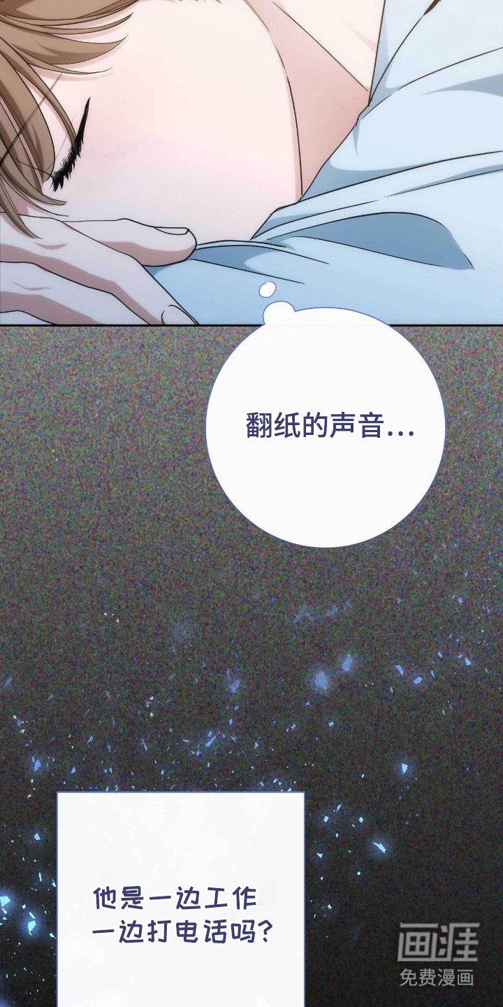 第63章：其他理由