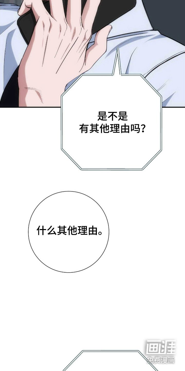 第63章：其他理由