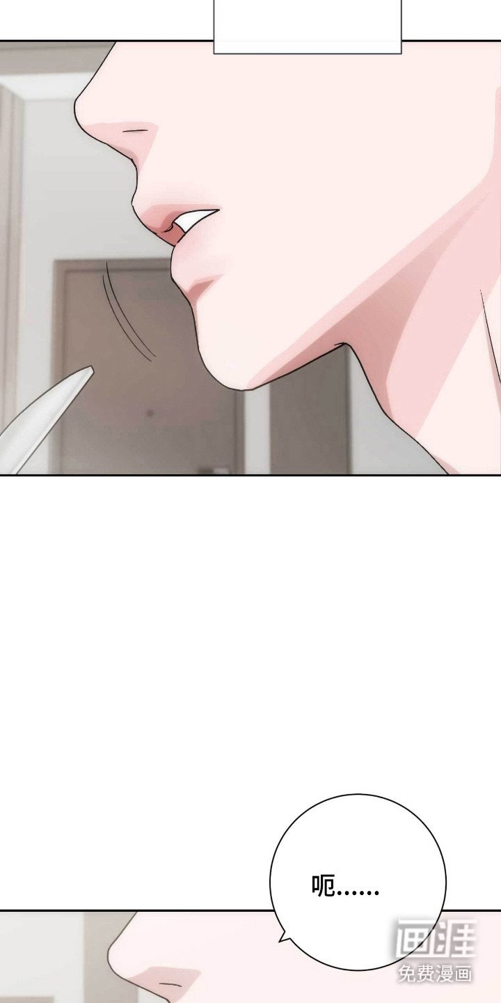 第66章：称呼