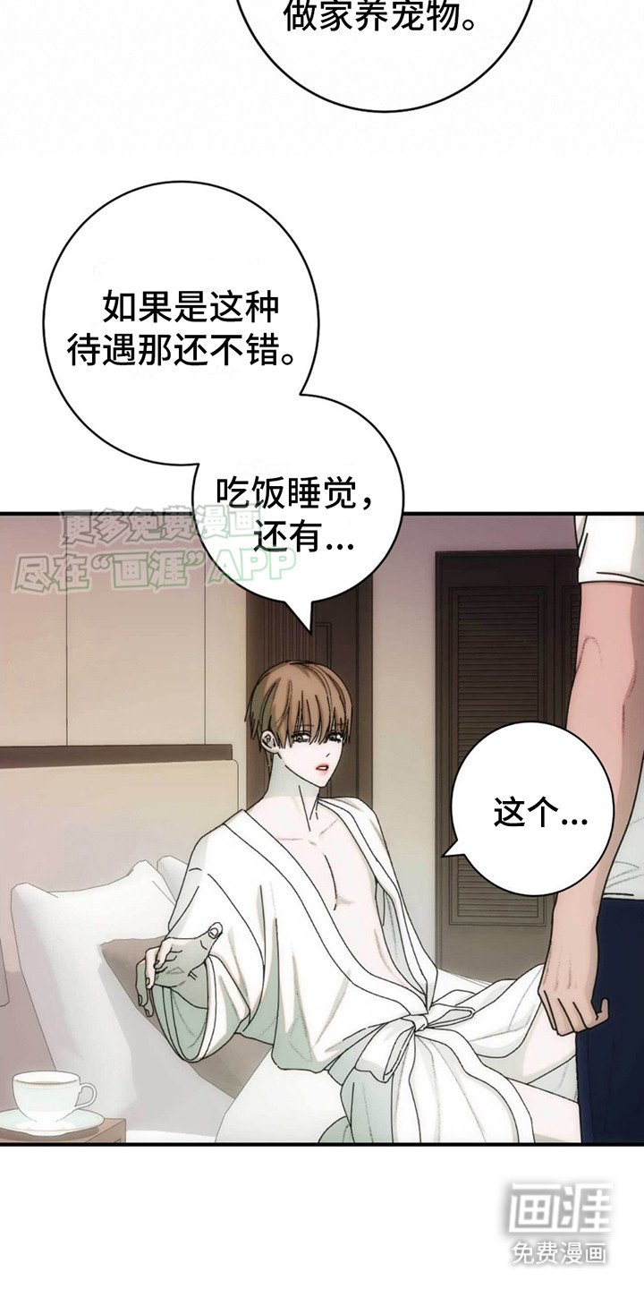 第9章：拒绝行程 
