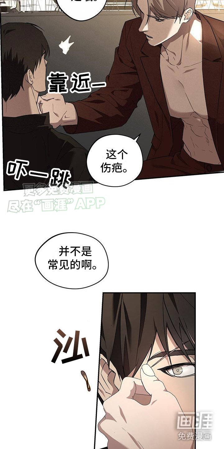 第6章：粉丝