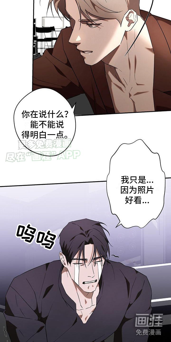 第6章：粉丝