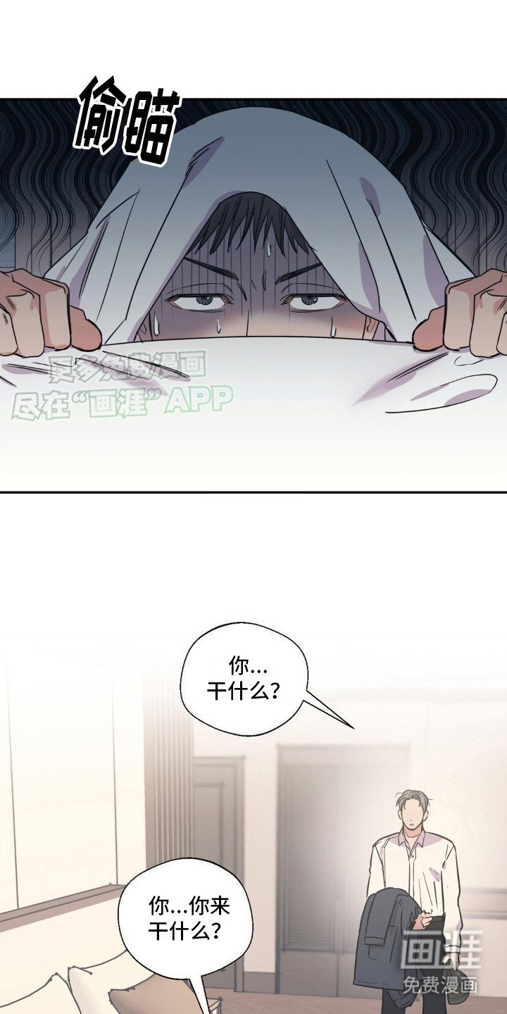 第9章：安慰