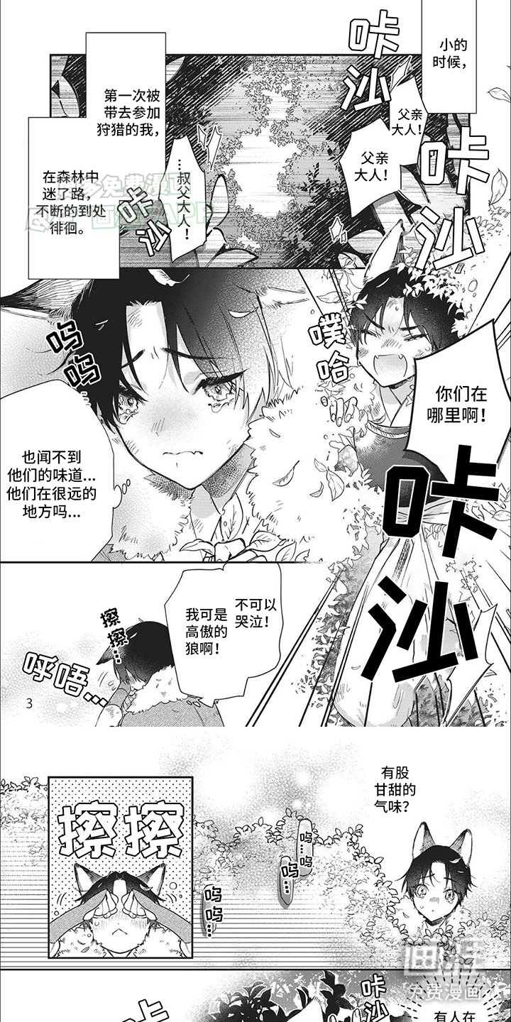 第1章：一见钟情