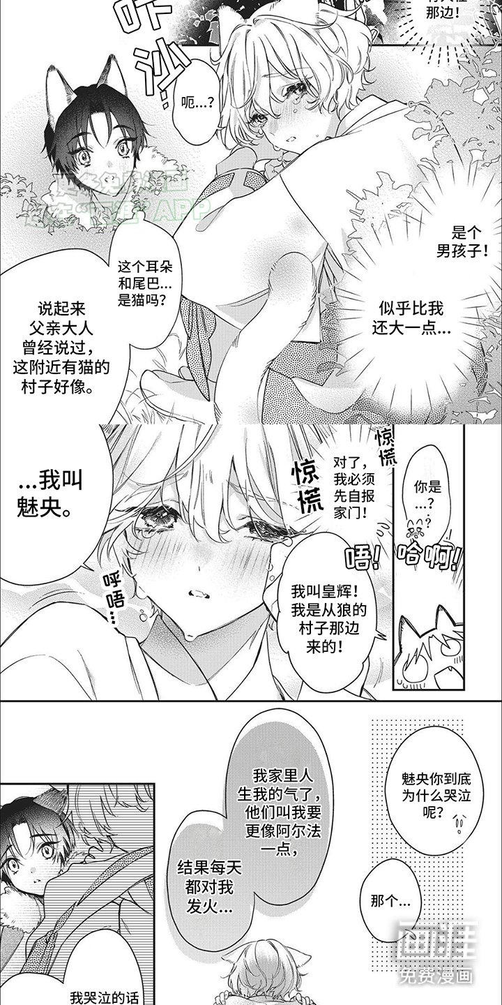 第1章：一见钟情