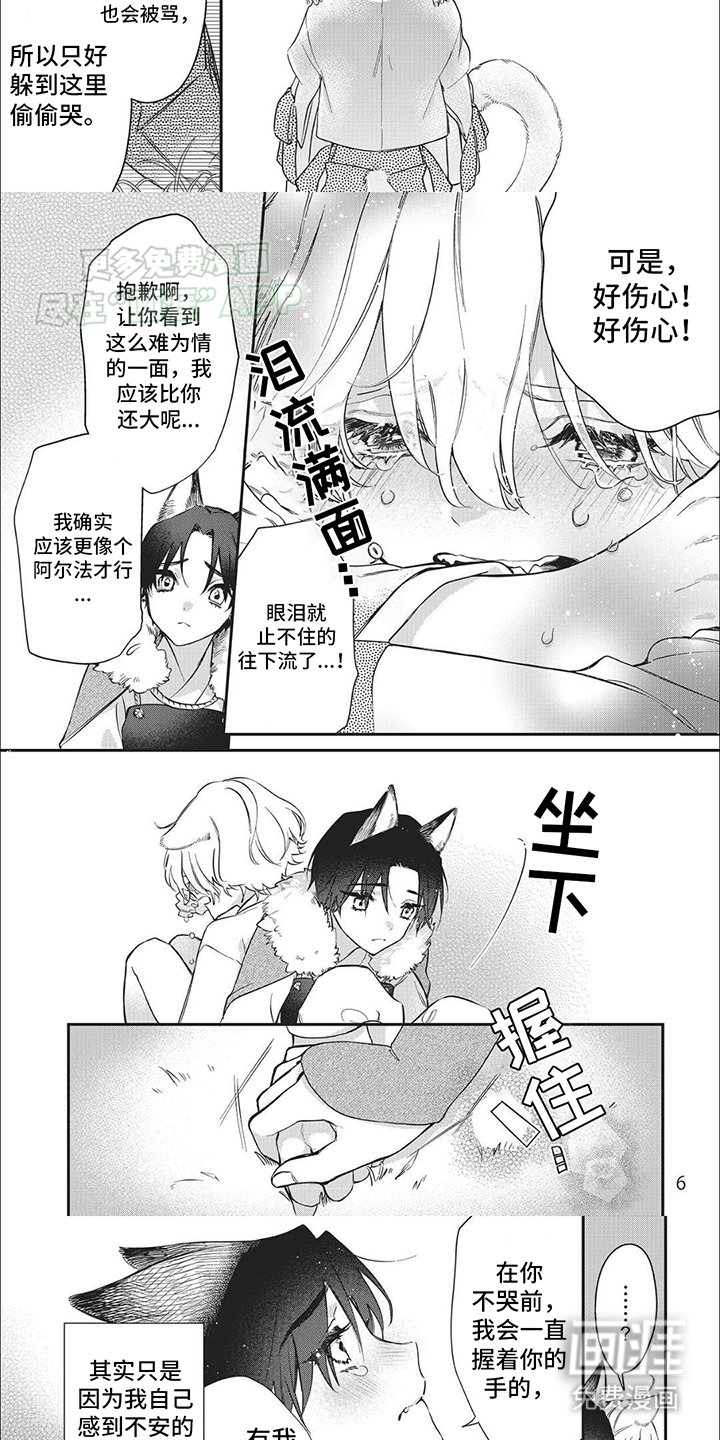 第1章：一见钟情