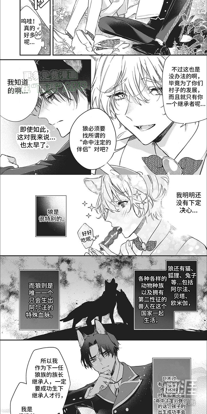第1章：一见钟情