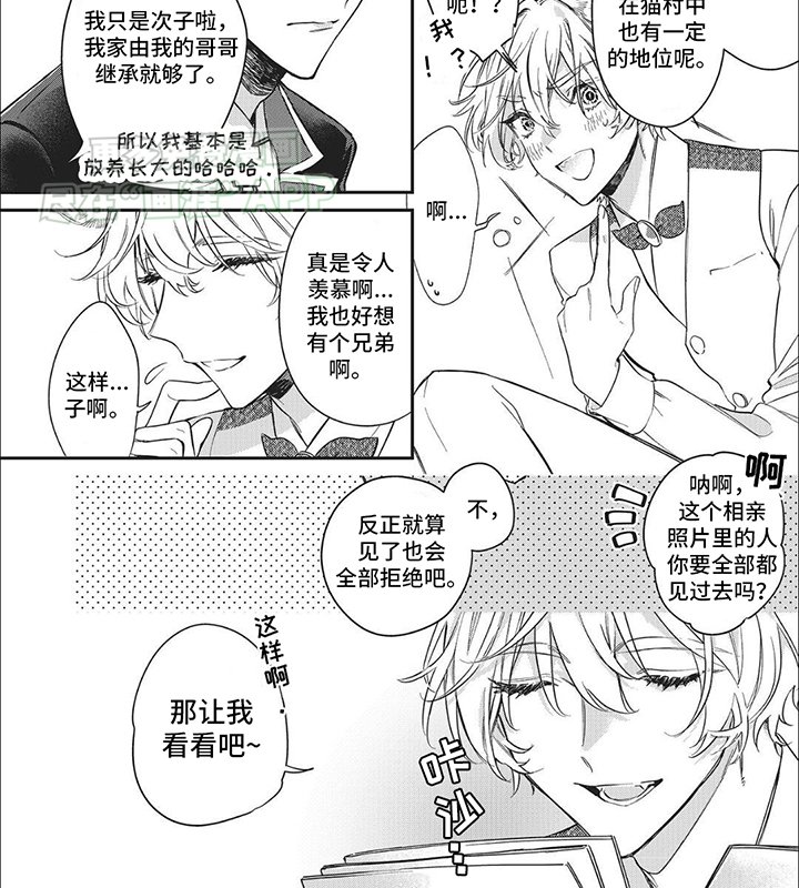 第1章：一见钟情