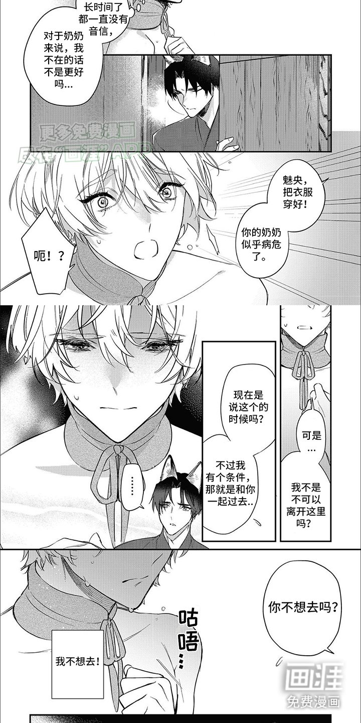 第10章：偏执与保护