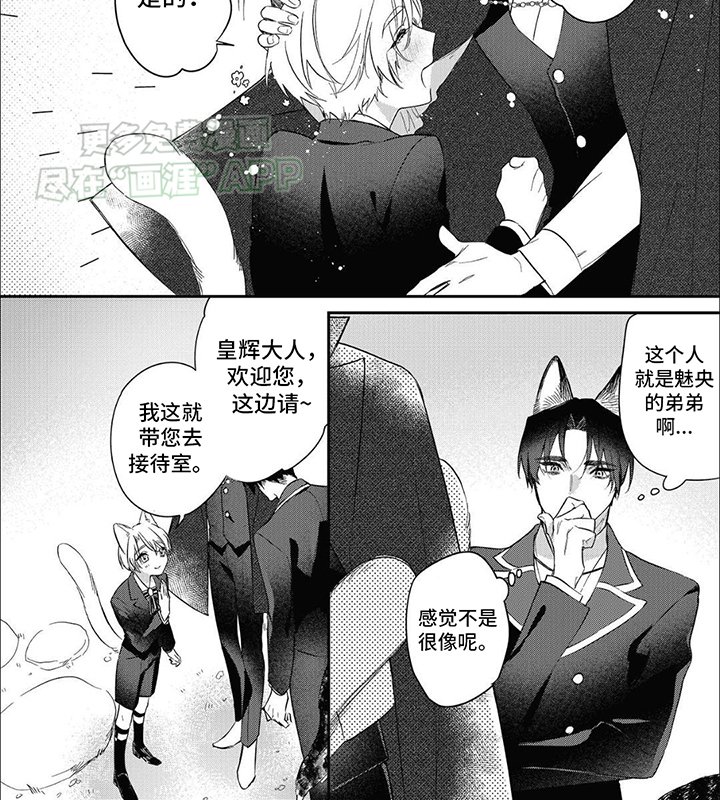 第10章：偏执与保护