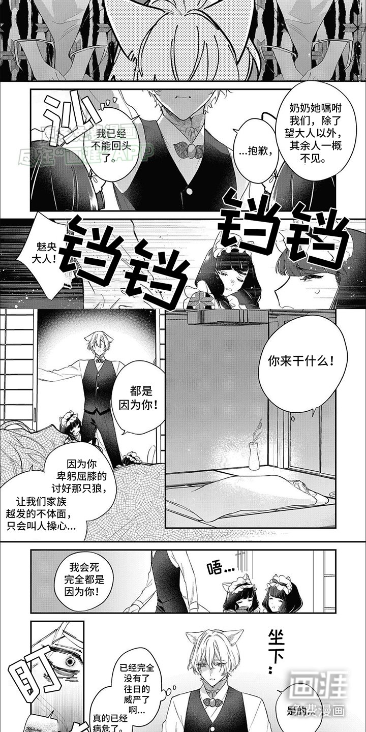 第10章：偏执与保护