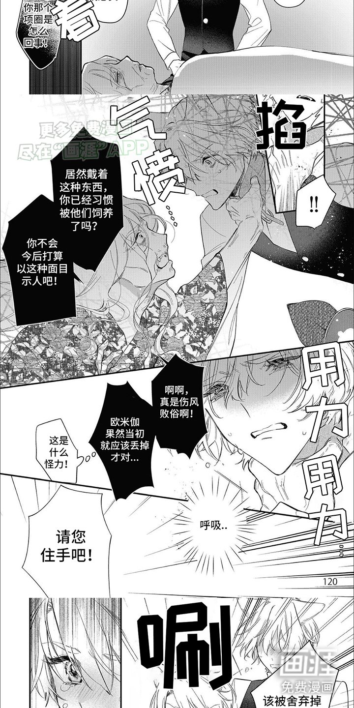 第10章：偏执与保护
