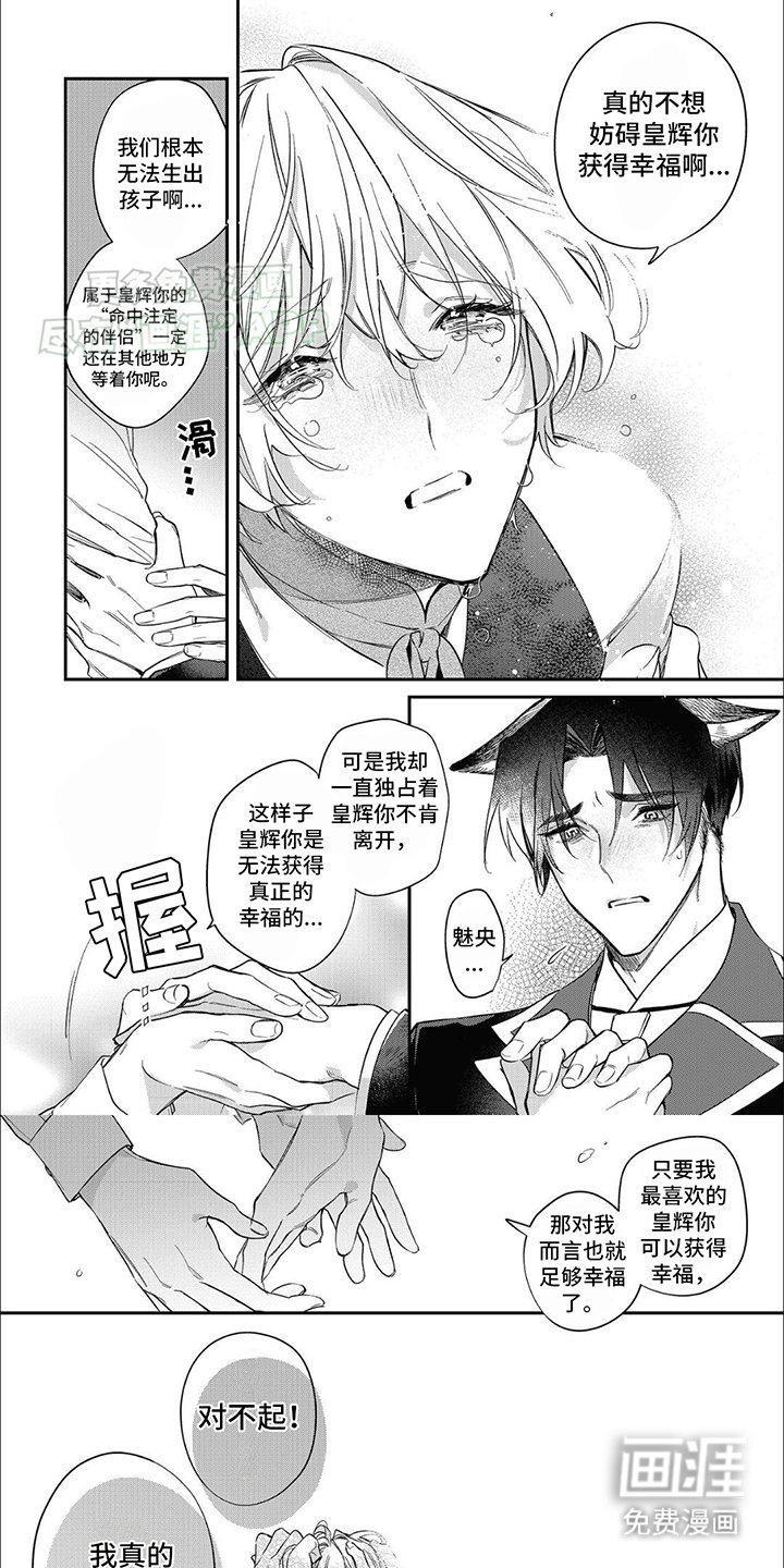 第11章：他的心意