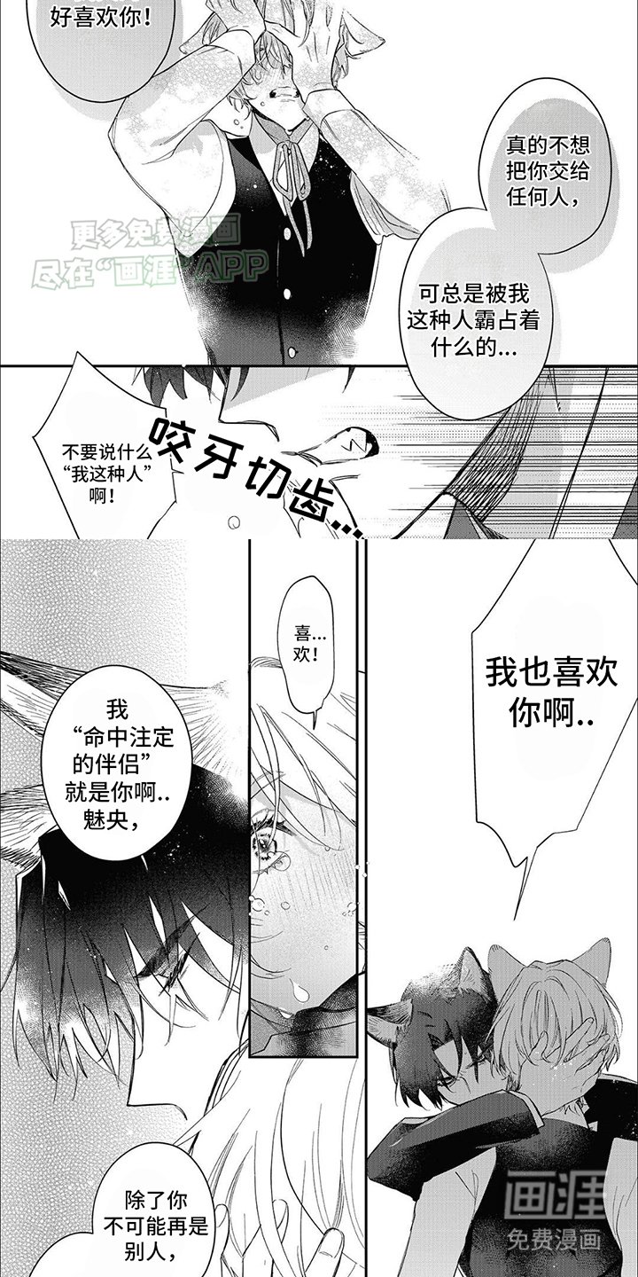 第11章：他的心意