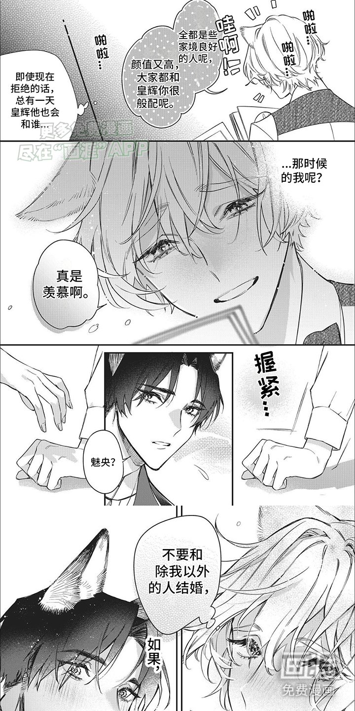 第2章：伪装