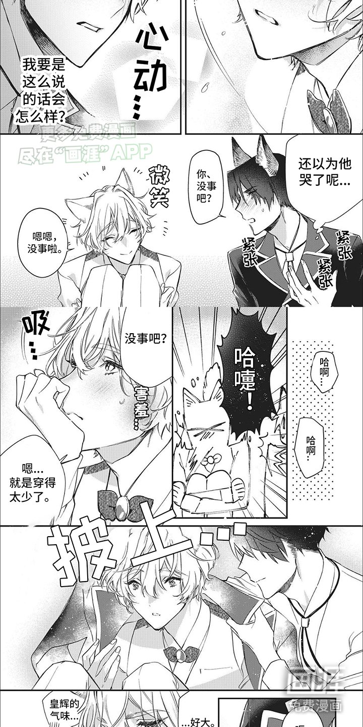 第2章：伪装