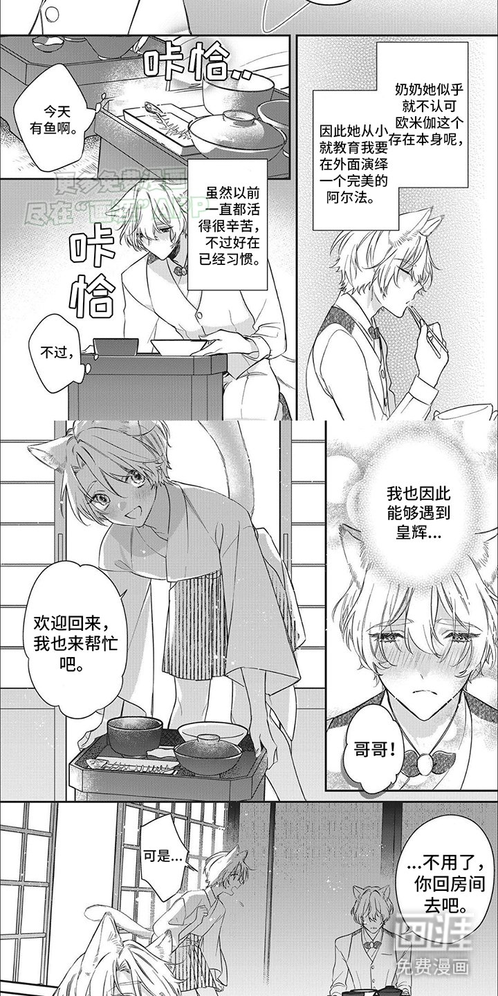 第2章：伪装