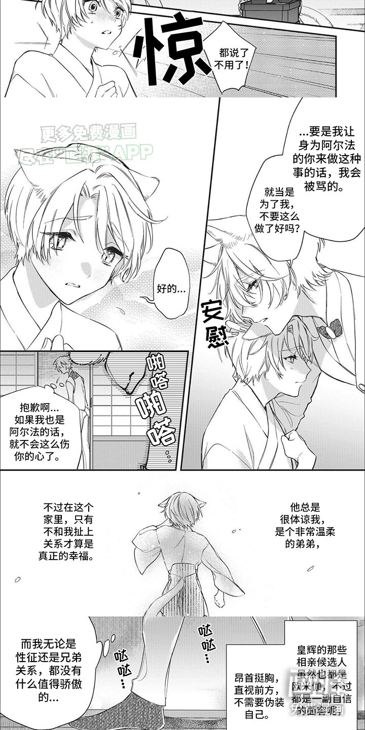 第2章：伪装