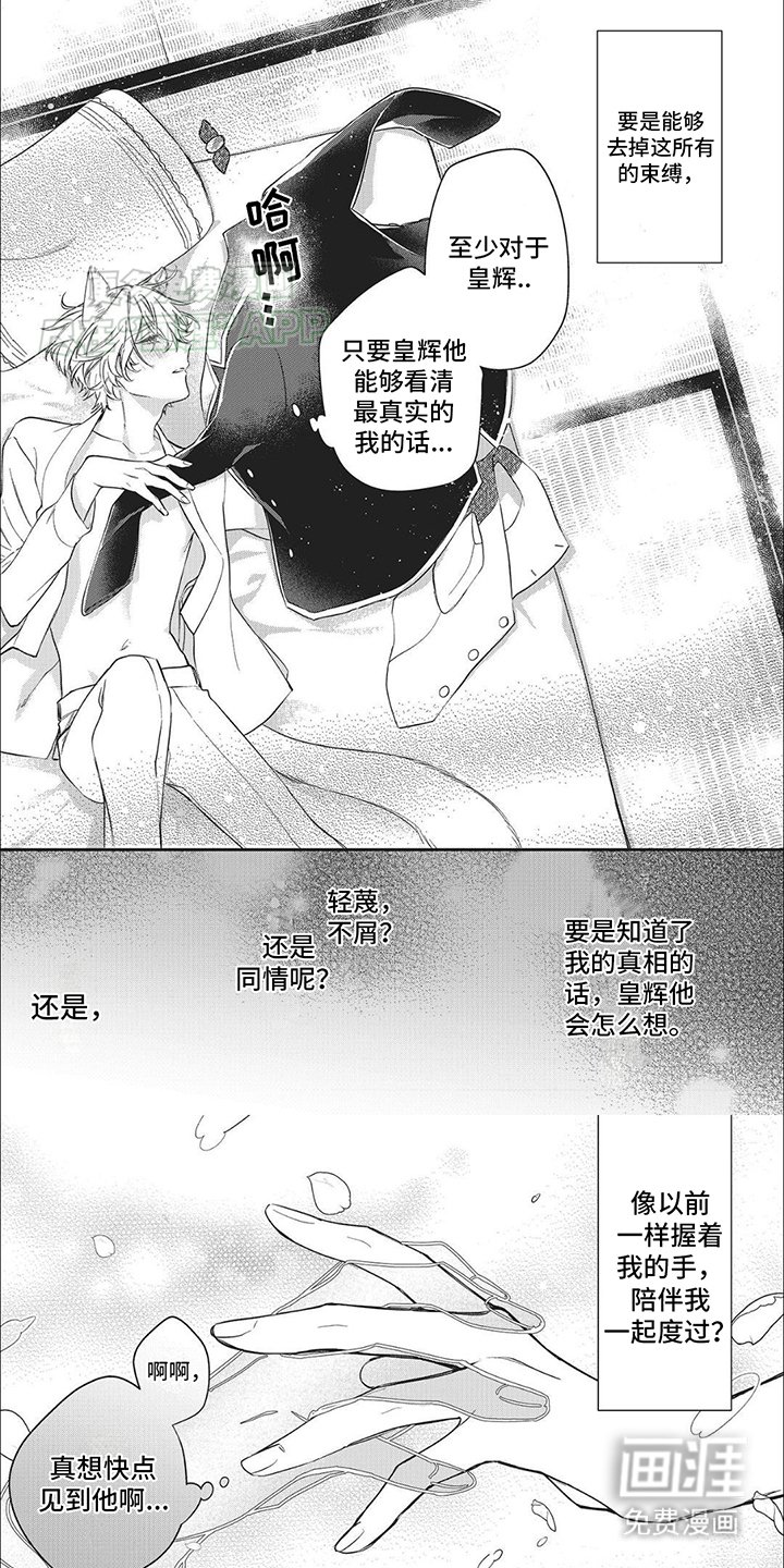 第3章：特殊的日子