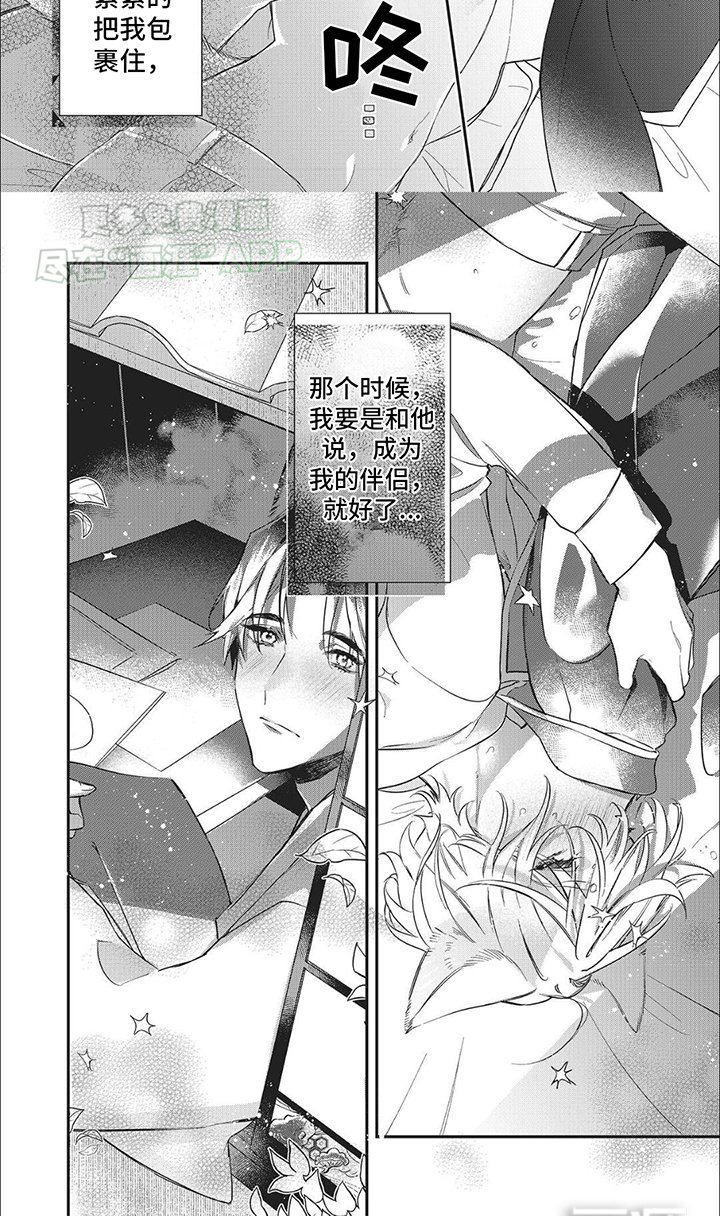 第3章：特殊的日子