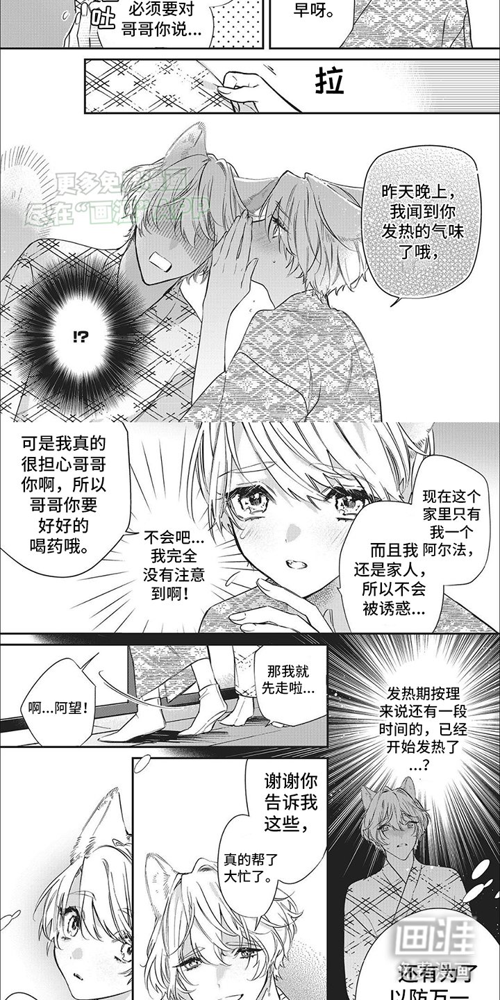 第3章：特殊的日子