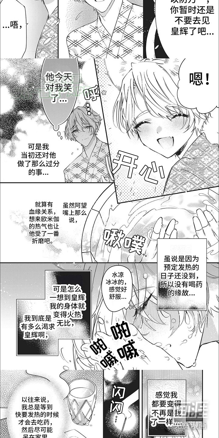 第3章：特殊的日子