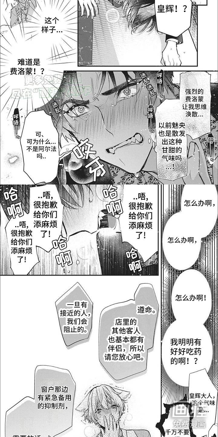 第5章：守护