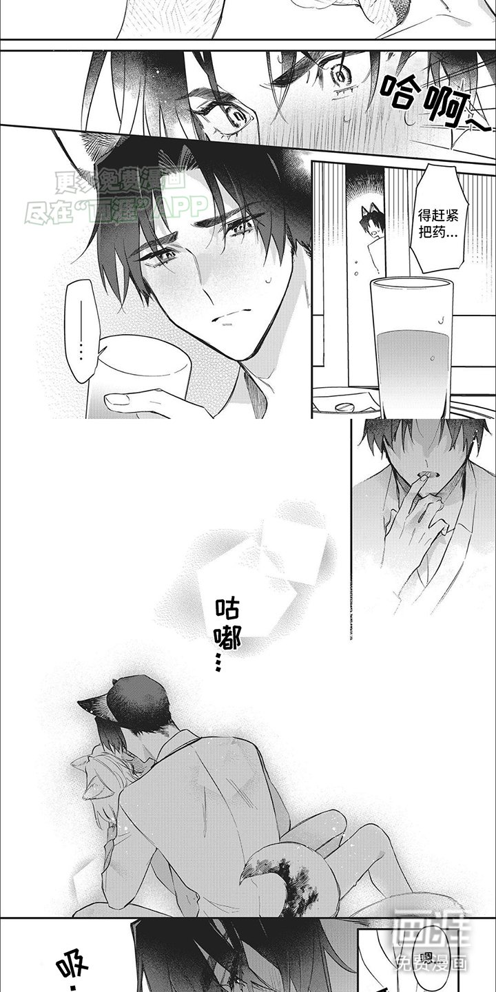 第6章：条件