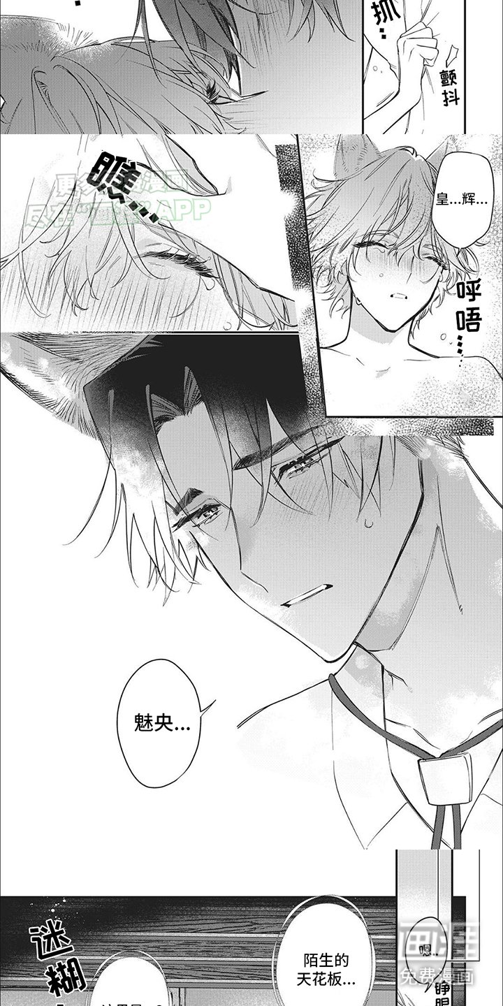 第6章：条件