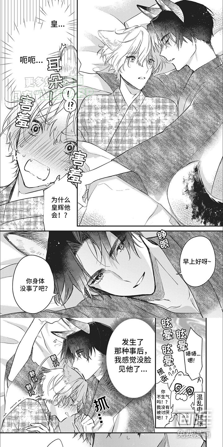 第6章：条件