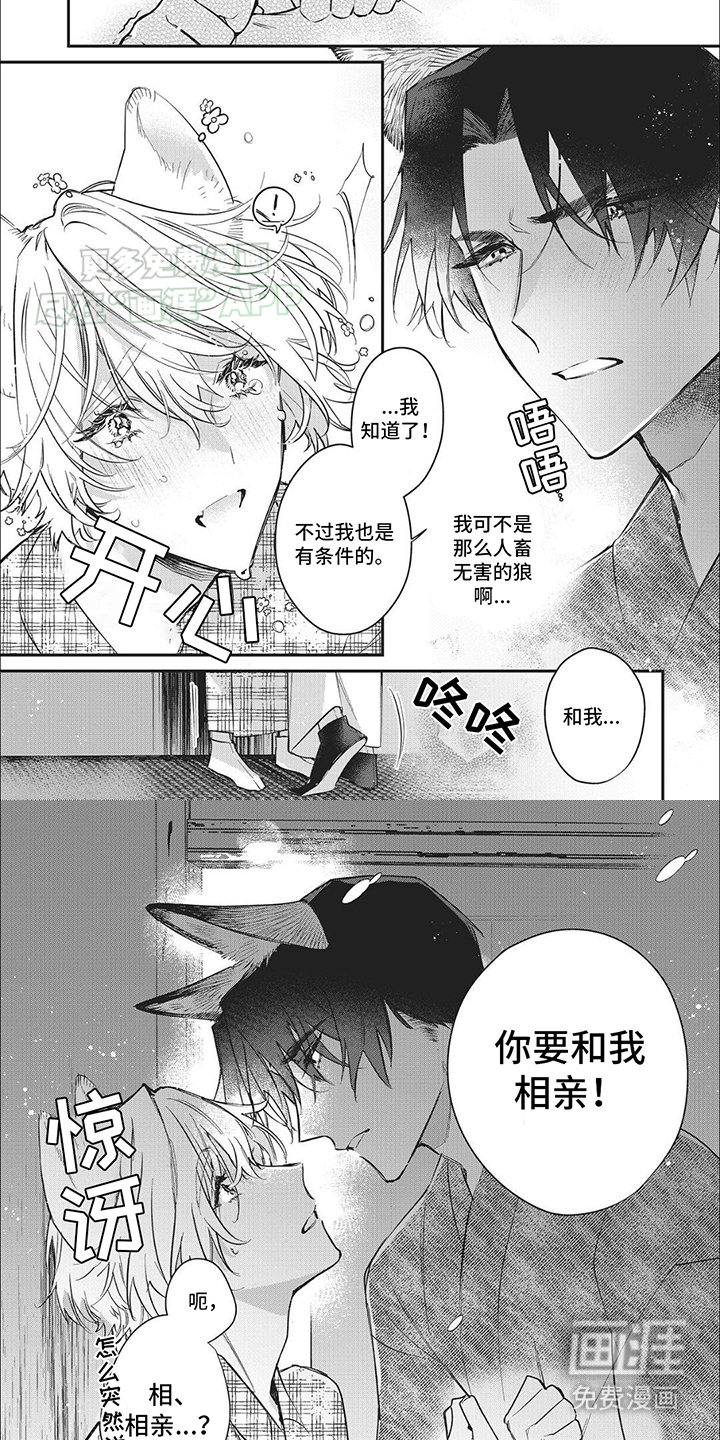 第6章：条件