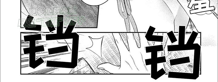 第8章：约定