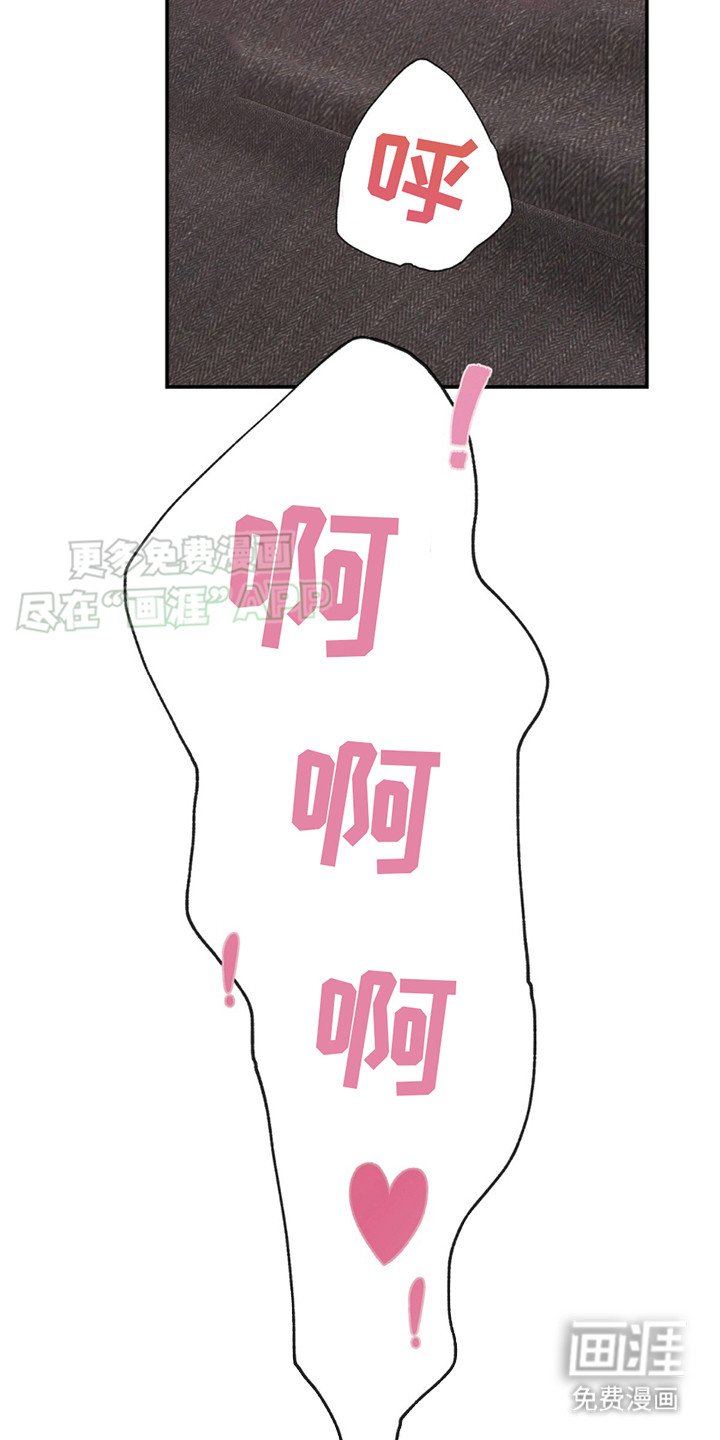 第1章：突然爆火