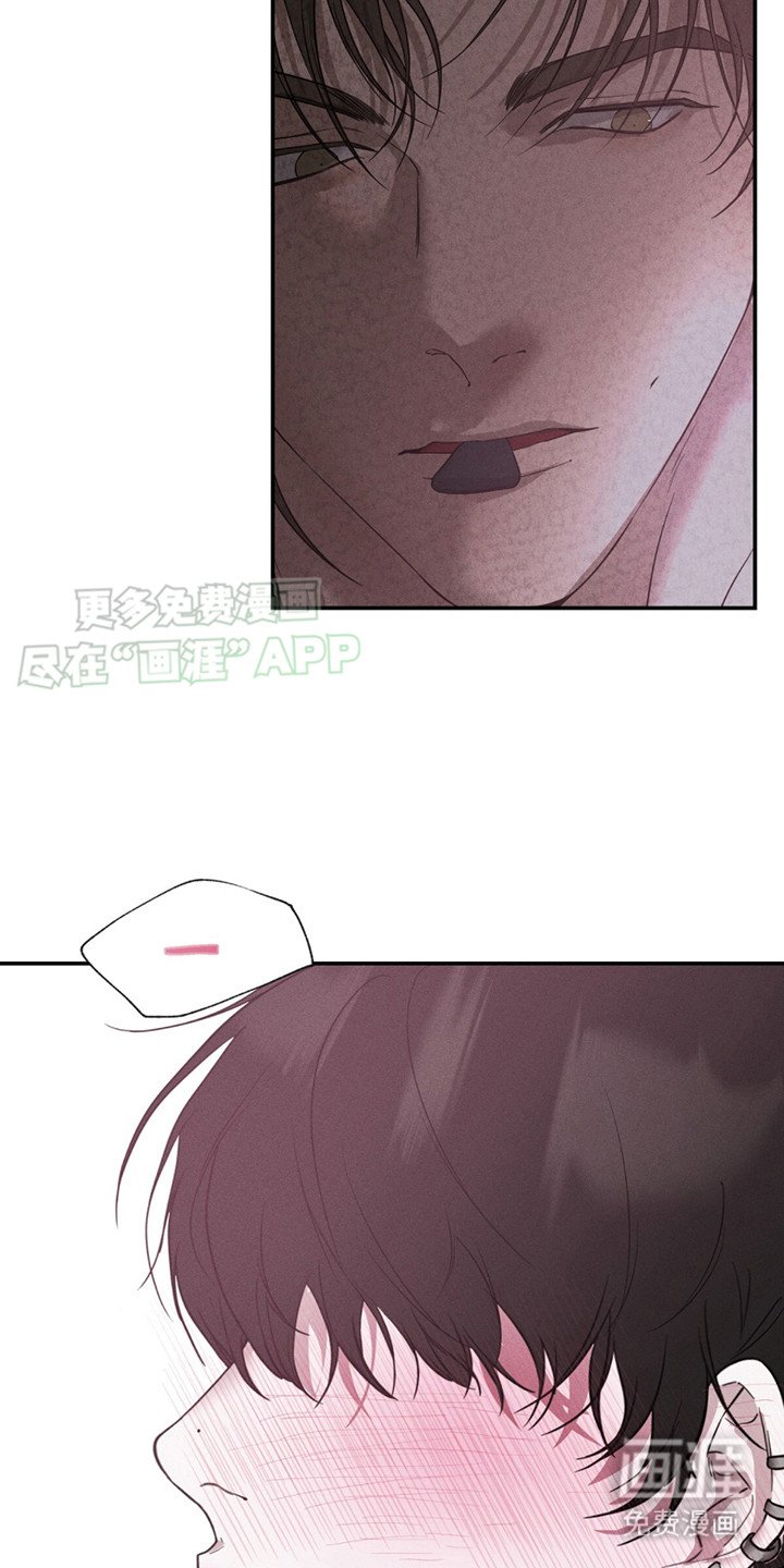 第1章：突然爆火
