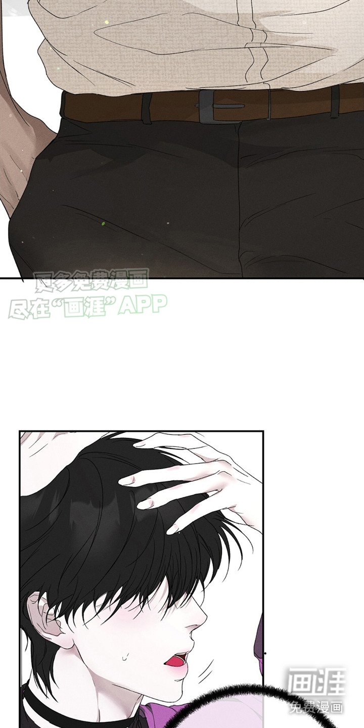 第3章：狂热粉丝
