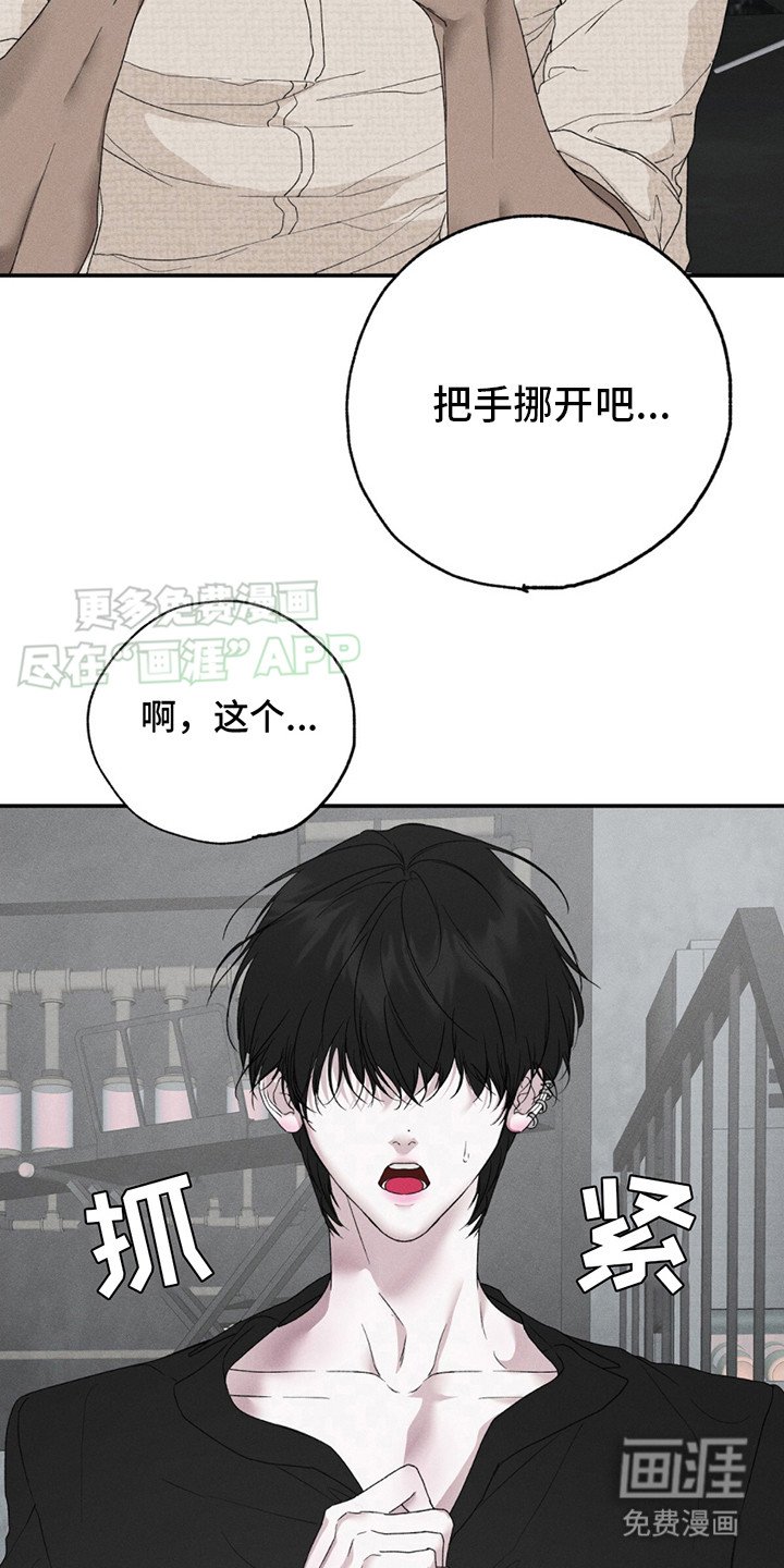 第3章：狂热粉丝