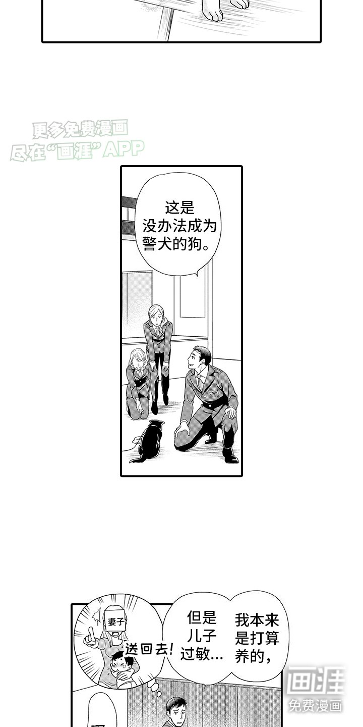 第1章：领养