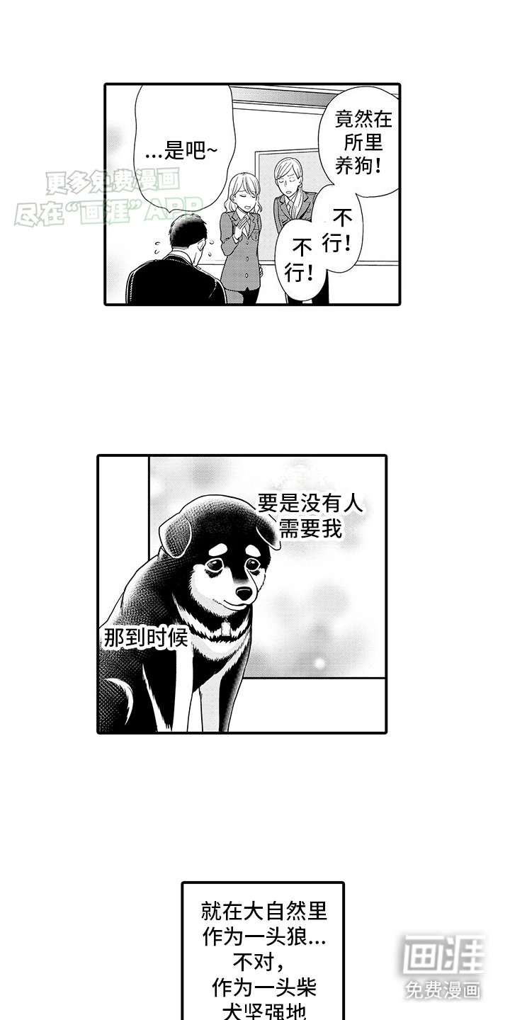第1章：领养