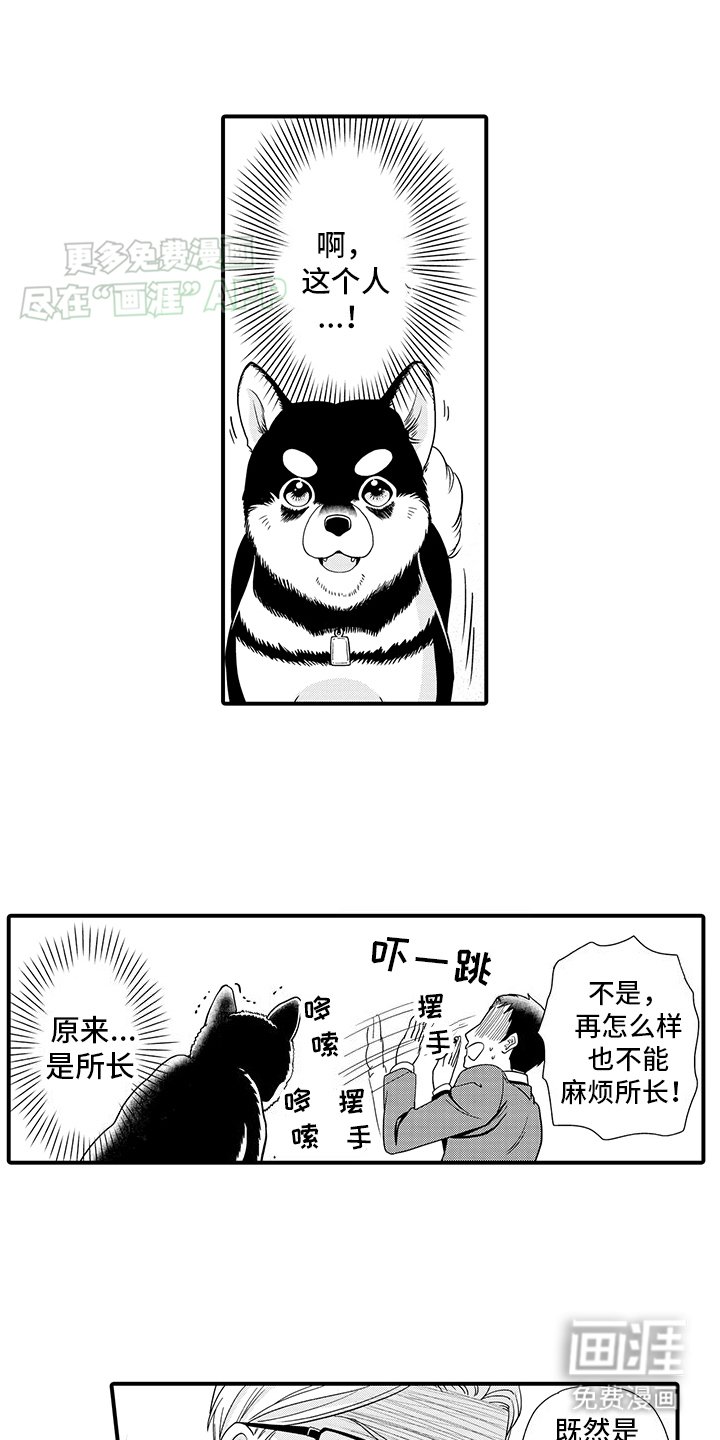 第1章：领养