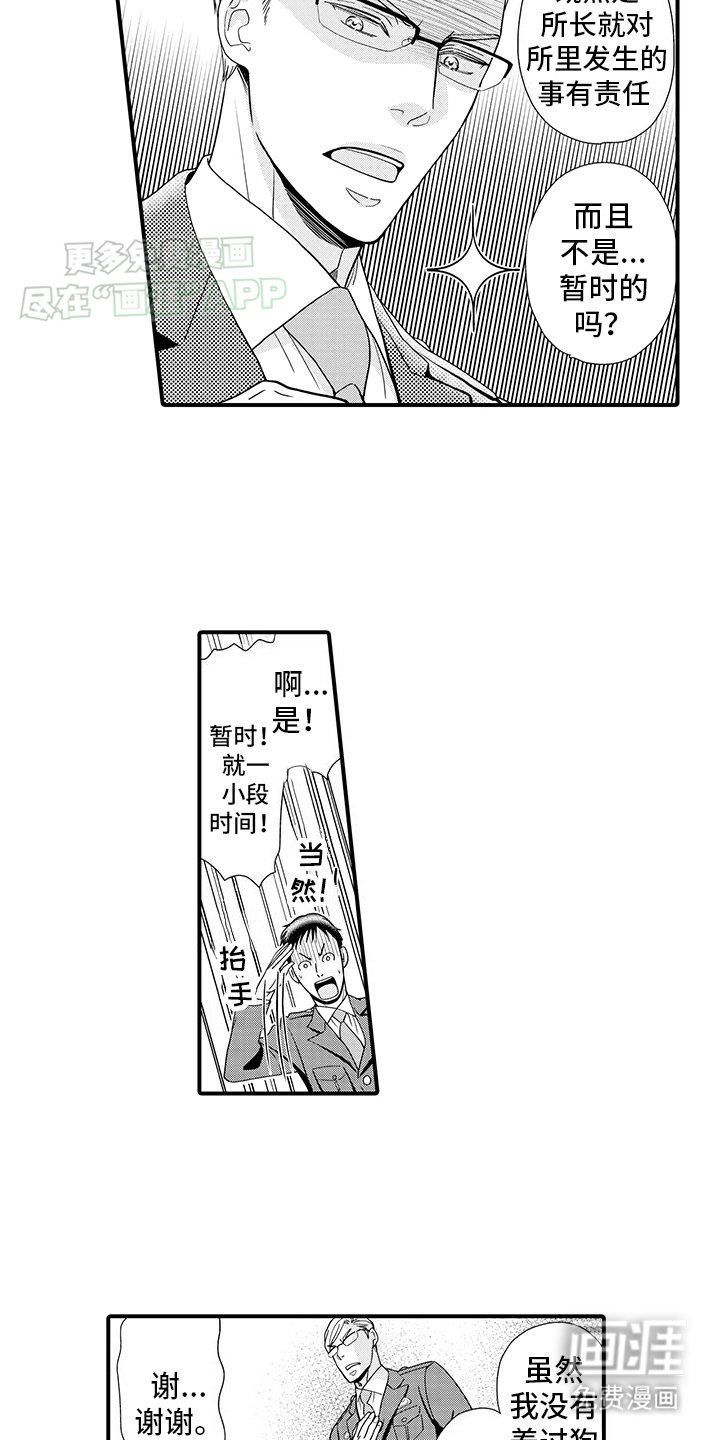 第1章：领养