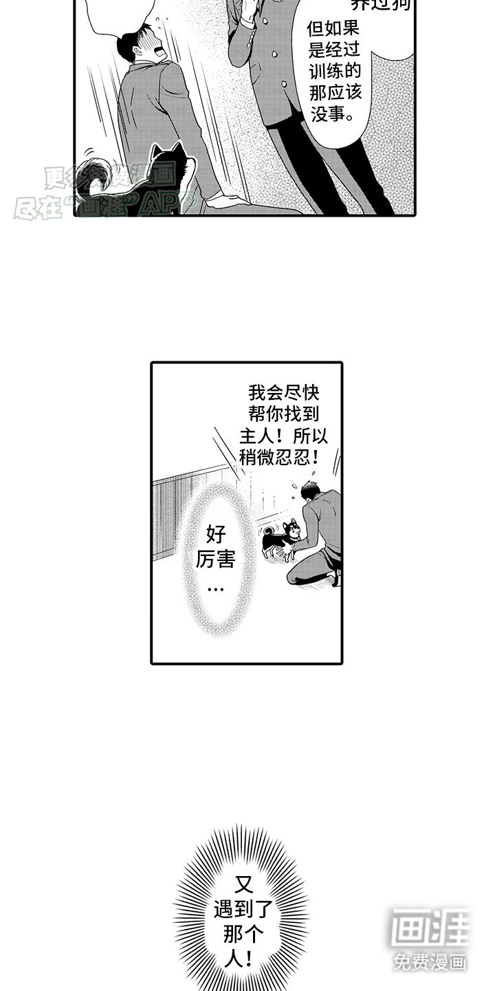 第1章：领养