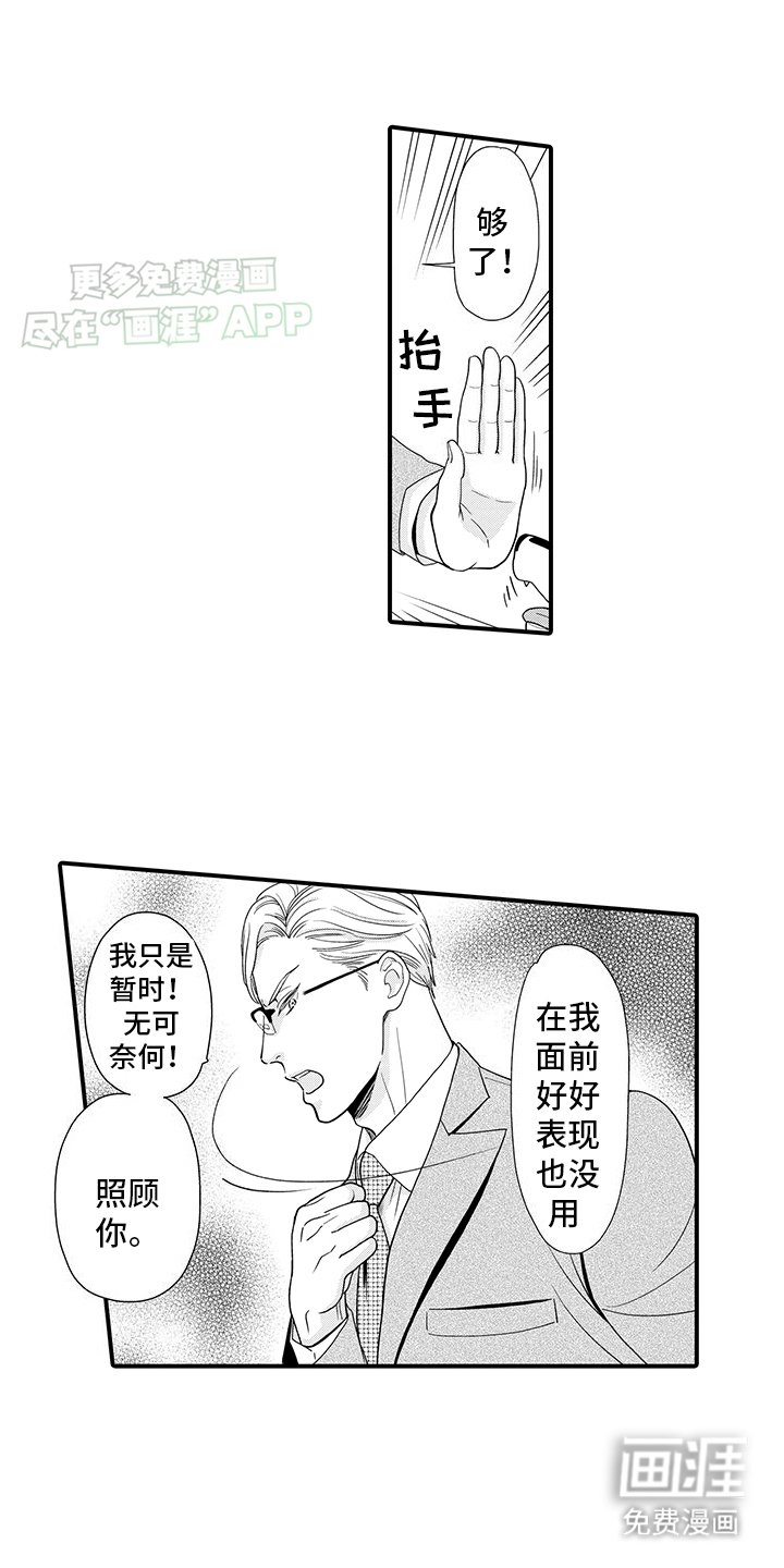 第1章：领养